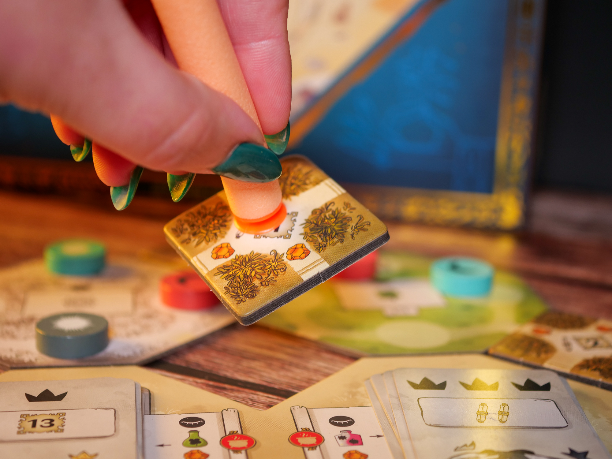 SALAMANDRA – Image 5