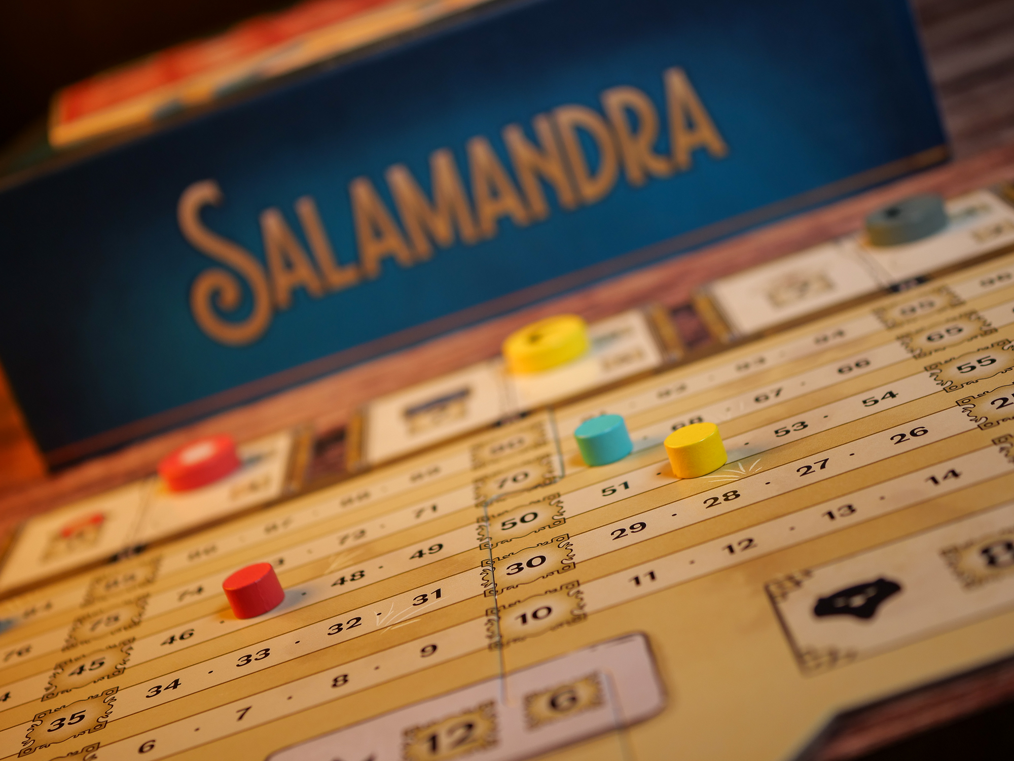 SALAMANDRA – Image 6